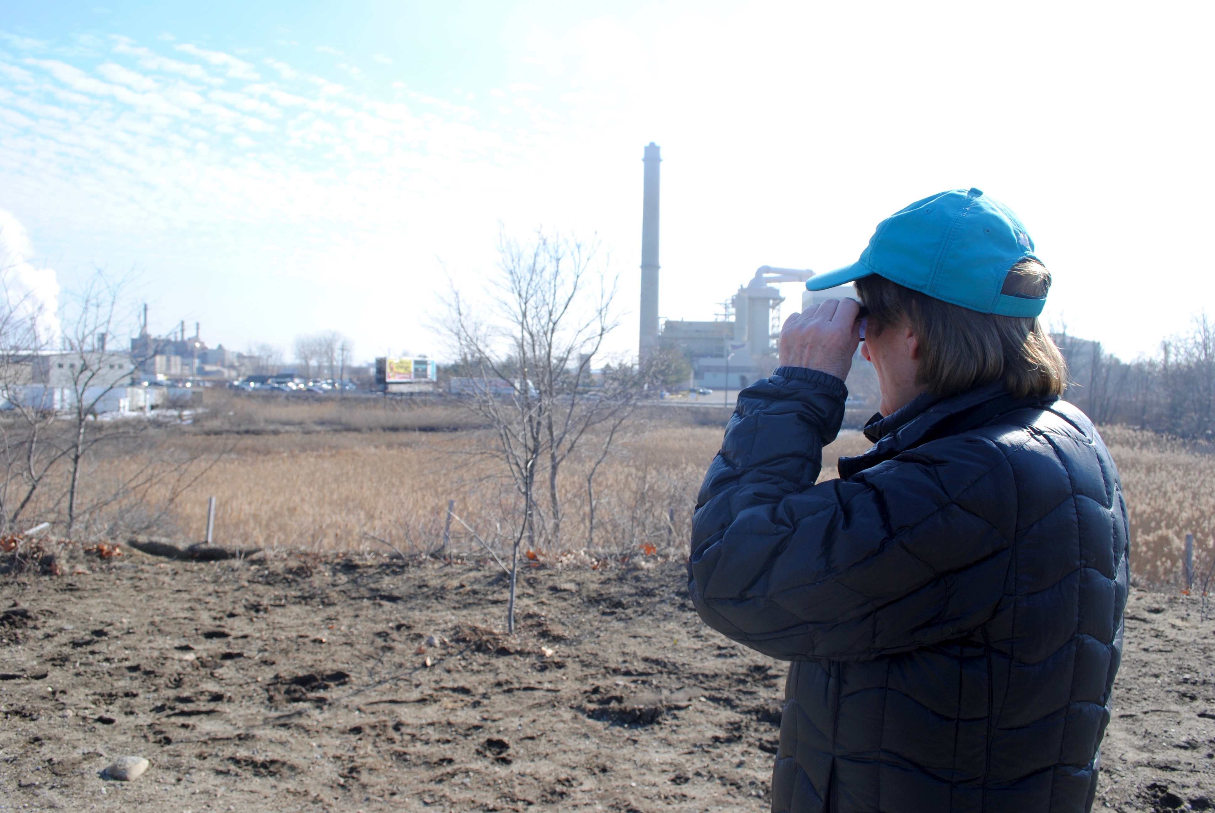 Linda Pivacek spots a bird in the marshland