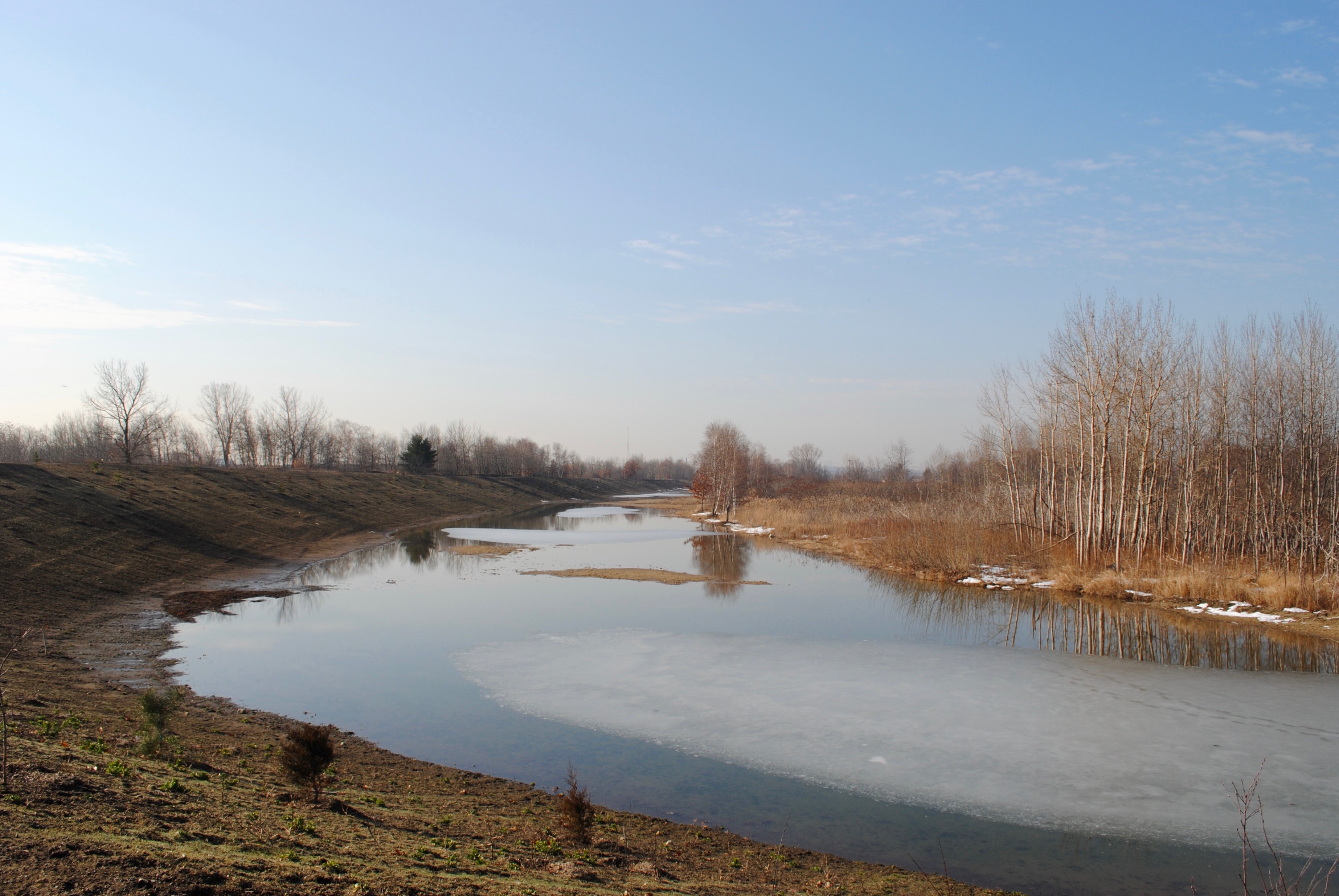 Marshland near the facility