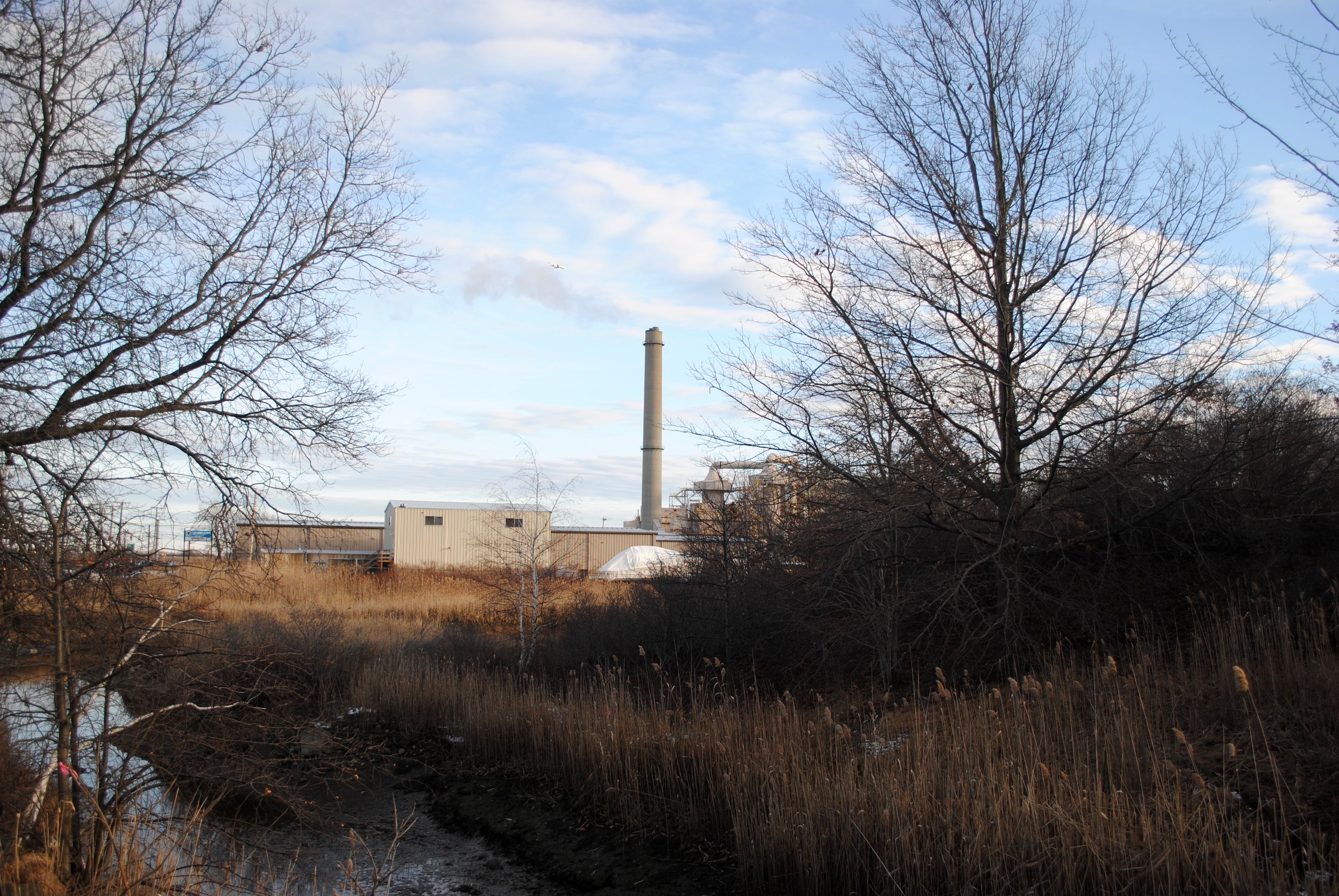 The Wheelabrator facility churns out smoke over the marshland