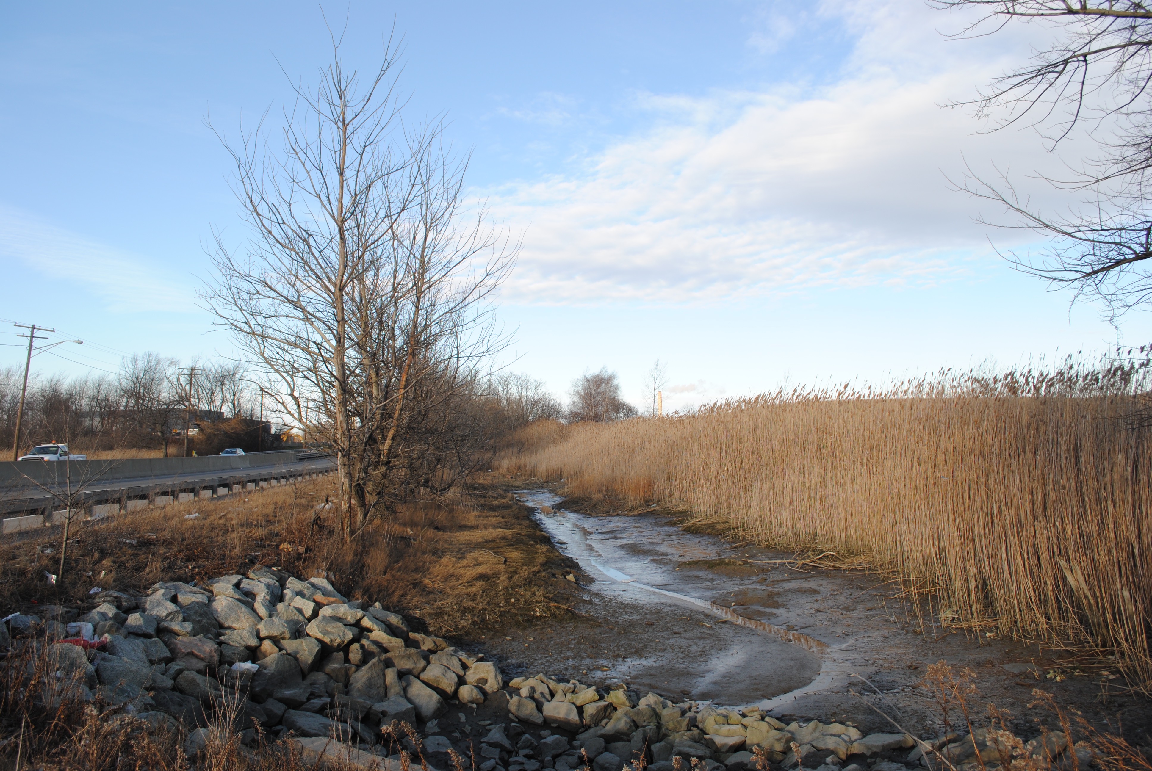 The incinerator peaks out behind the marshland in Saugus