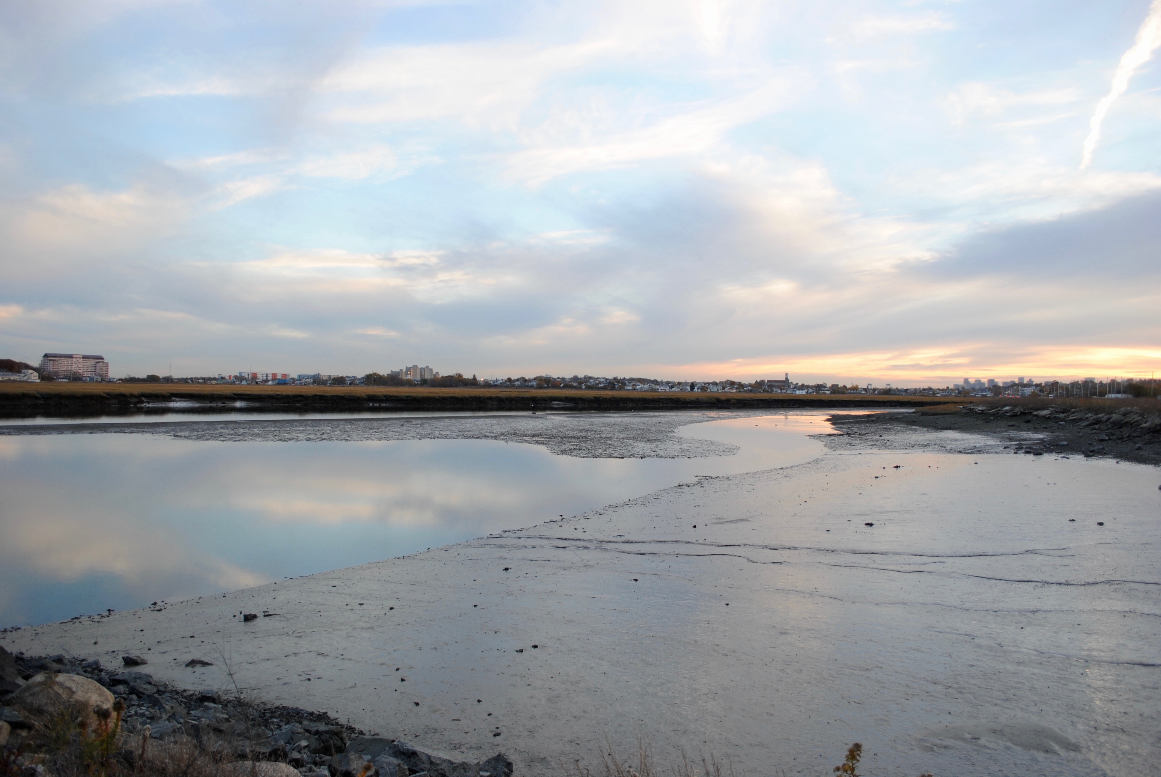 the Rumney Marsh area near Wheelabrator