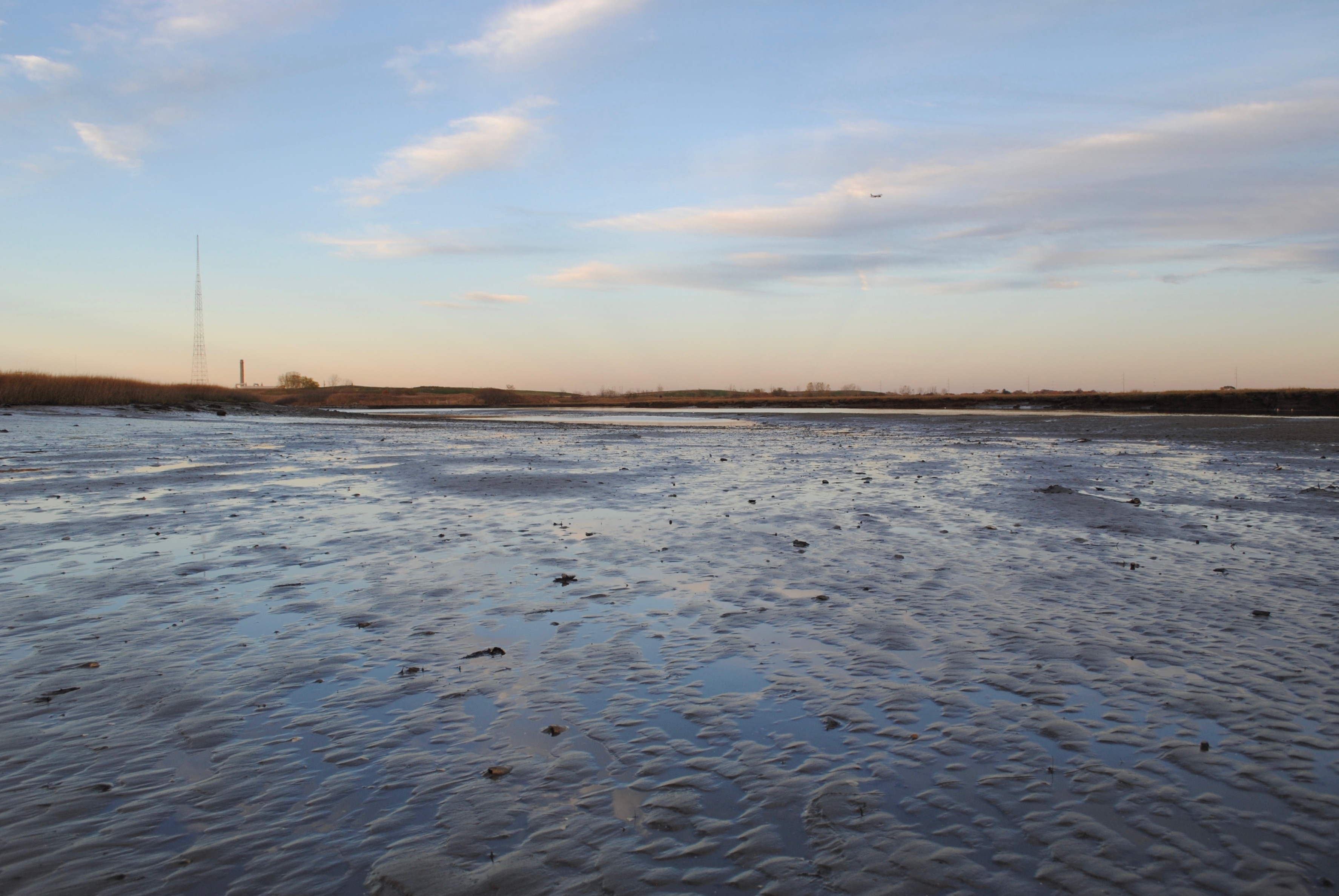 the Rumney Marsh area near Wheelabrator