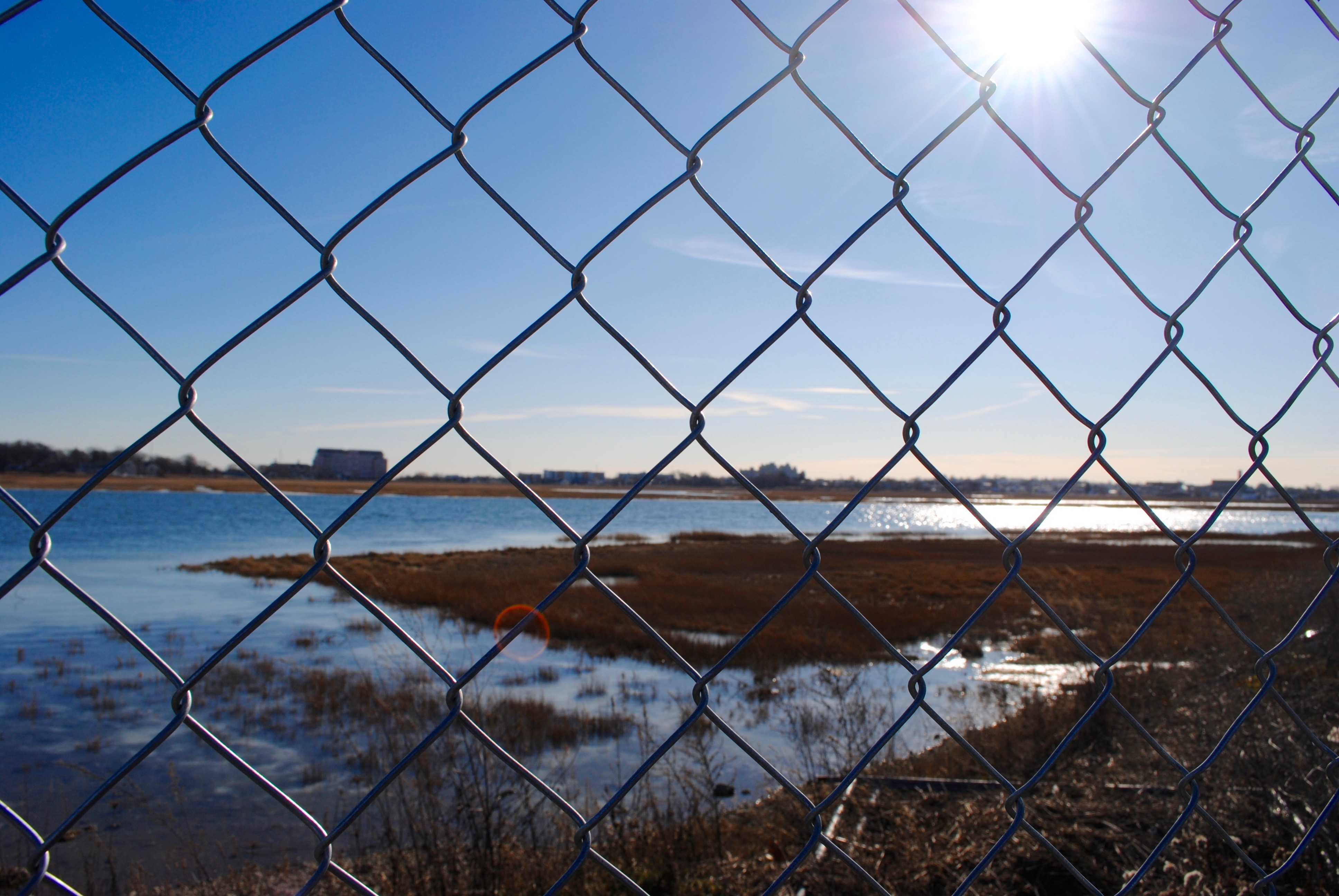 the Rumney Marsh area near Wheelabrator